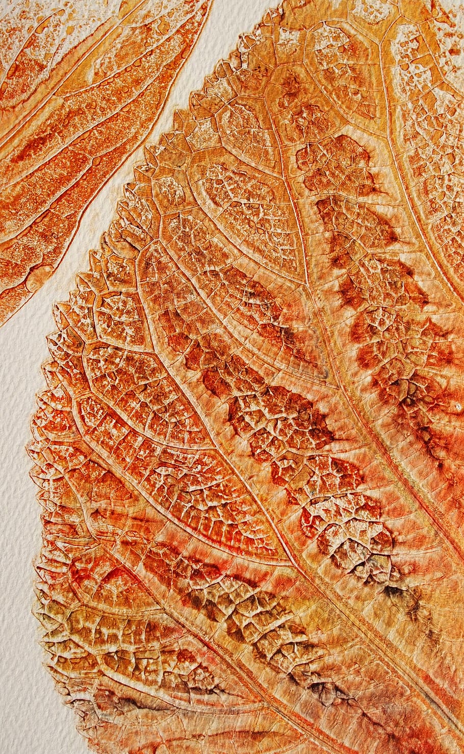 Leaf, Nature, Painting, Dry, structire, fall, full frame, no people HD wallpaper