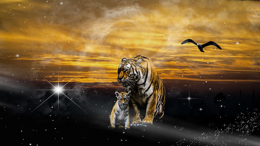 two tigers, graphics, computer, young, birds, sunset, silhouettes HD wallpaper