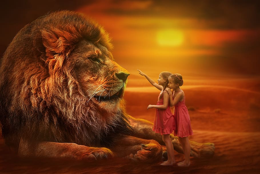 two girls in front of lion during golden hour time, people, twins, HD wallpaper