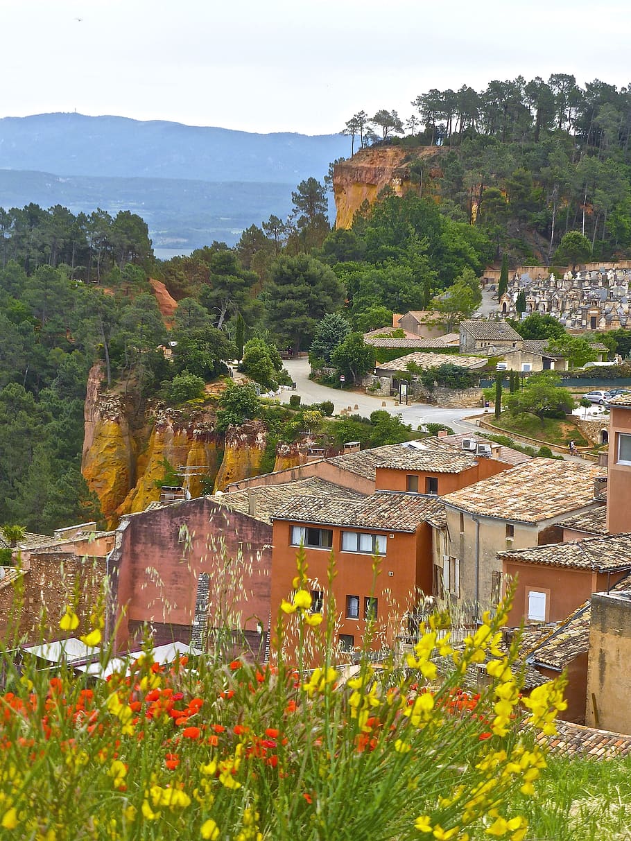 Roussillon, Village, Rooftops, red, flowers, blooming, france HD wallpaper