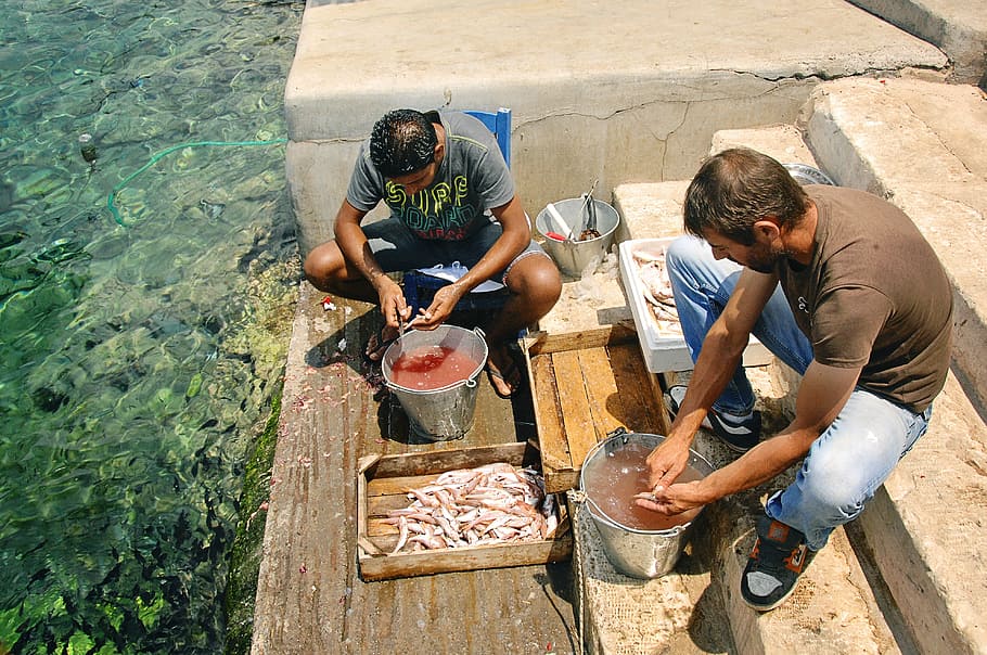 fishermen, seafood, catch, fisherman, group of people, adult HD wallpaper