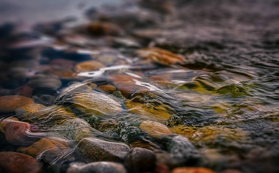 macro photography of water and stones, tilt-shift lens on riverflows HD wallpaper
