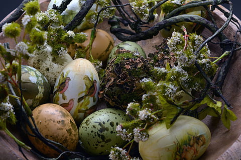 assorted-color-and-design easter egg decors, easter eggs, easter nest HD wallpaper