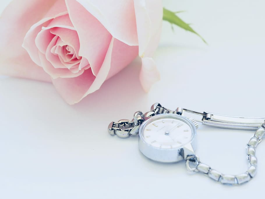 round white analog watch beside pink rose, round white analog watch with silver-colored bracelet beside pink rose HD wallpaper