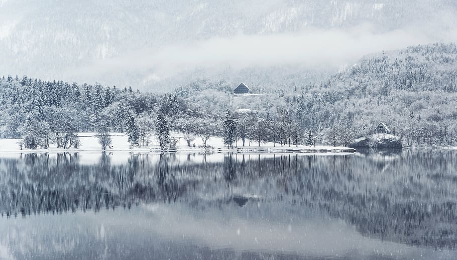 fog, forest, lake, landscape, mountain, snow, snowing, trees HD wallpaper