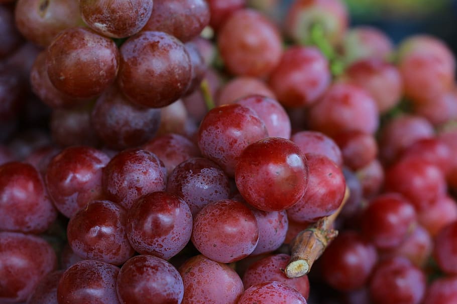 Grapes, Gallery, Fruit, Yellow, Food, healthy, vegetables, nature HD wallpaper