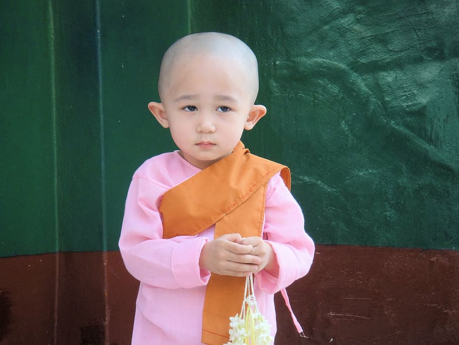 child, myanmar, burma, monk, sweet, diffident, girl, nun, pink, HD wallpaper