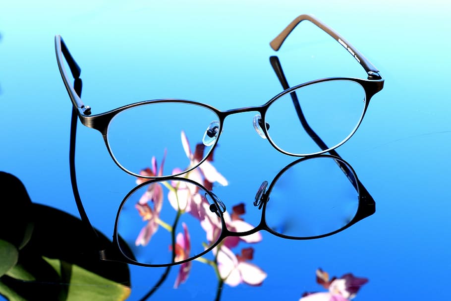 eyeglasses with black frames, orchid, see, sharpness, lenses HD wallpaper