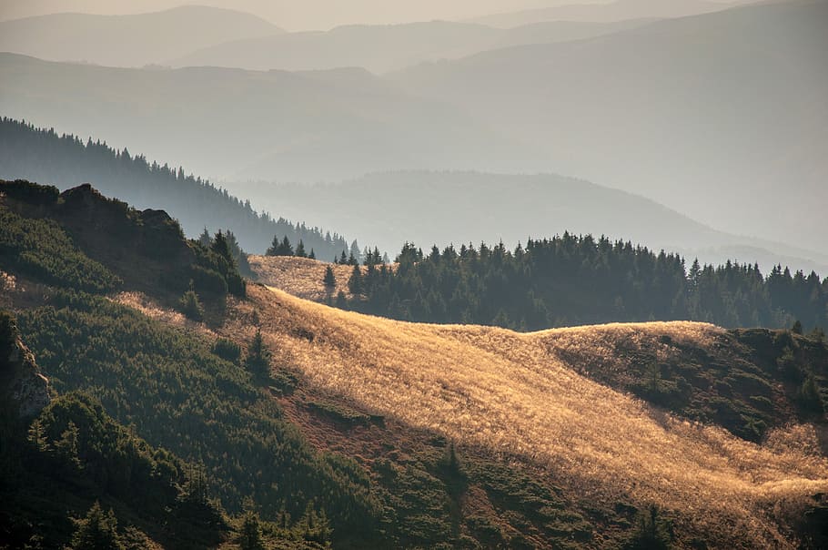 landscape photography of mountains, aerial photography of trees HD wallpaper