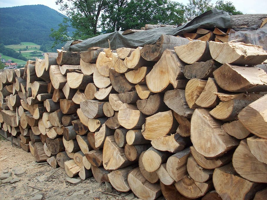 Wood, Logs, Sawmill, stack, timber, large group of objects HD wallpaper