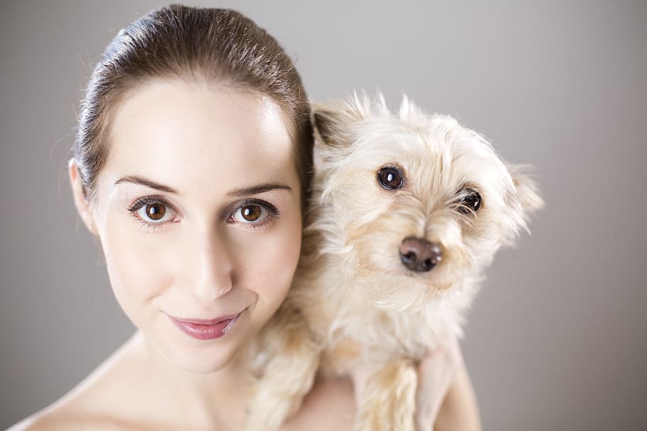 HD wallpaper: woman holding long-coated white dog, girl, portrait ...