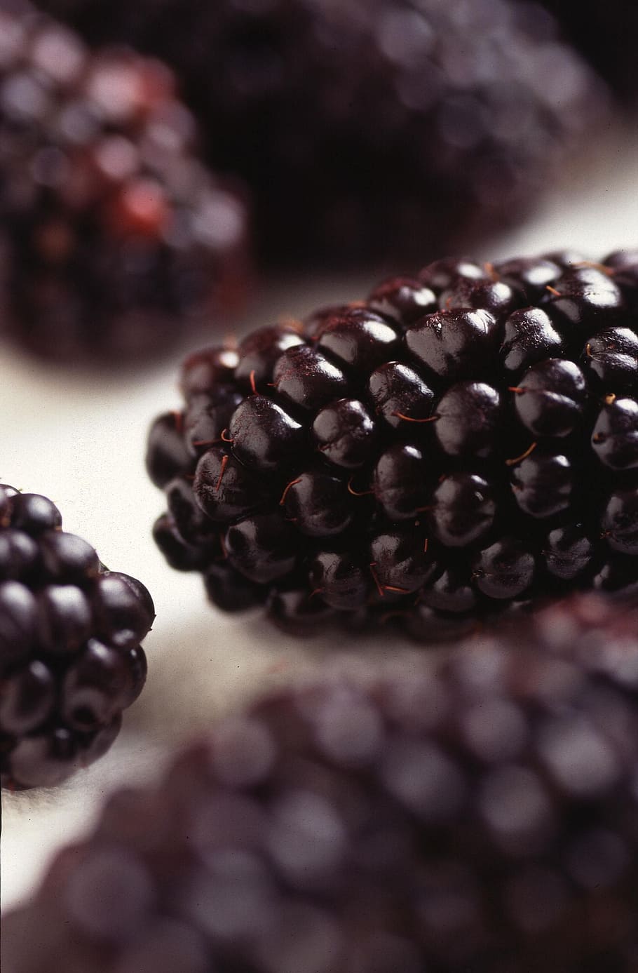 blackberries, modified, genetically, fruit, blueberries, fruits, HD wallpaper