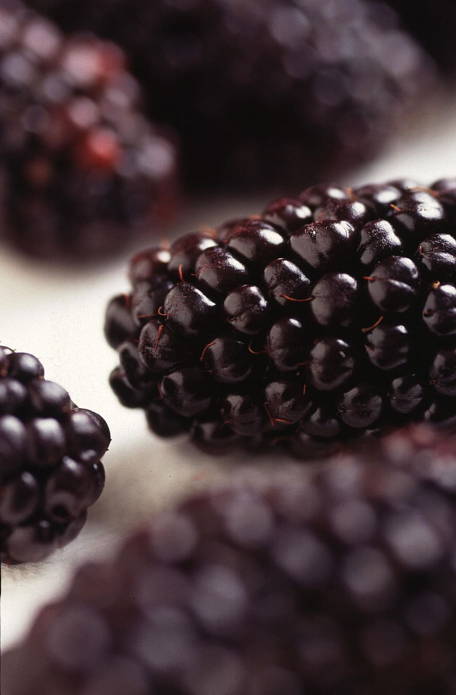 blackberries, modified, genetically, fruit, blueberries, fruits HD wallpaper
