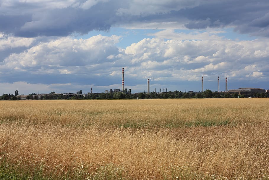 landscape, field, sky, environment, cloud - sky, plant, fuel and power generation HD wallpaper