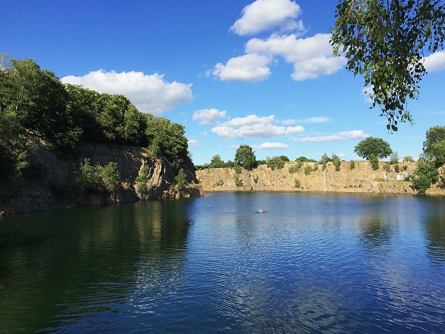 wather, see, bading, nature, river, tree, summer, water, sky HD wallpaper