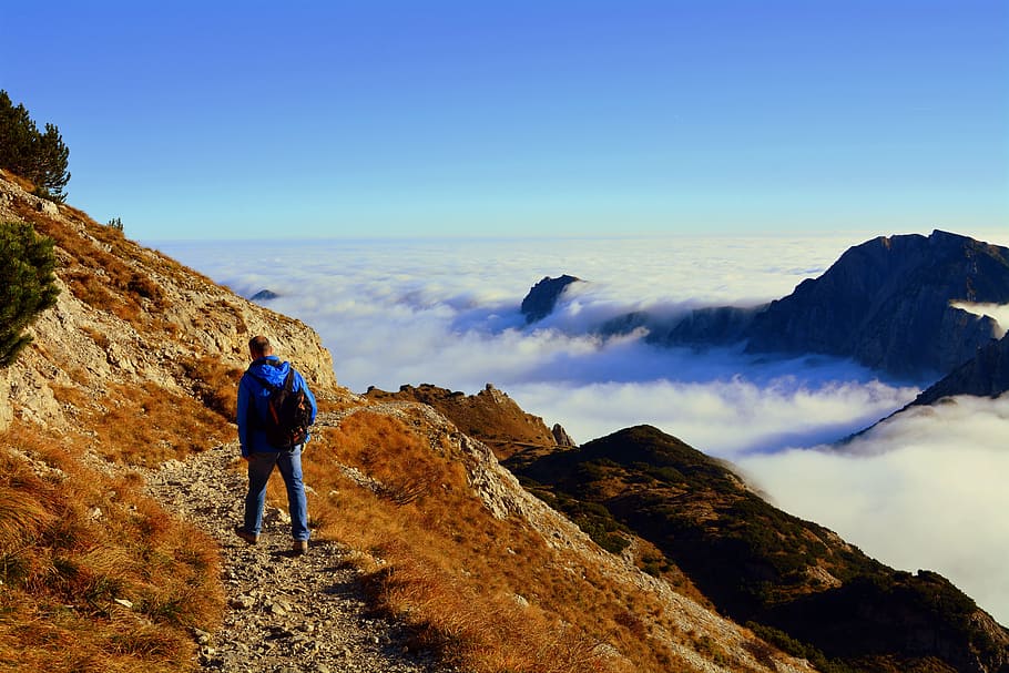 blue in blue jacket on mountain beside sea of clouds, walk HD wallpaper