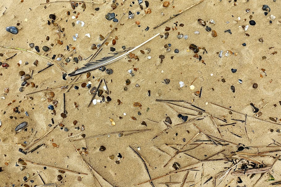 sand, beach, pattern, texture, pebble, feather, flotsam, coast HD wallpaper