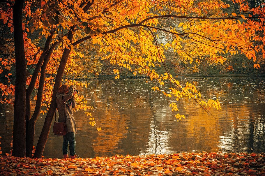 woman in brown coat standing near orange leafed tree and body of water during daytime, person standing beside tree near body of water taking photo during daytime, HD wallpaper
