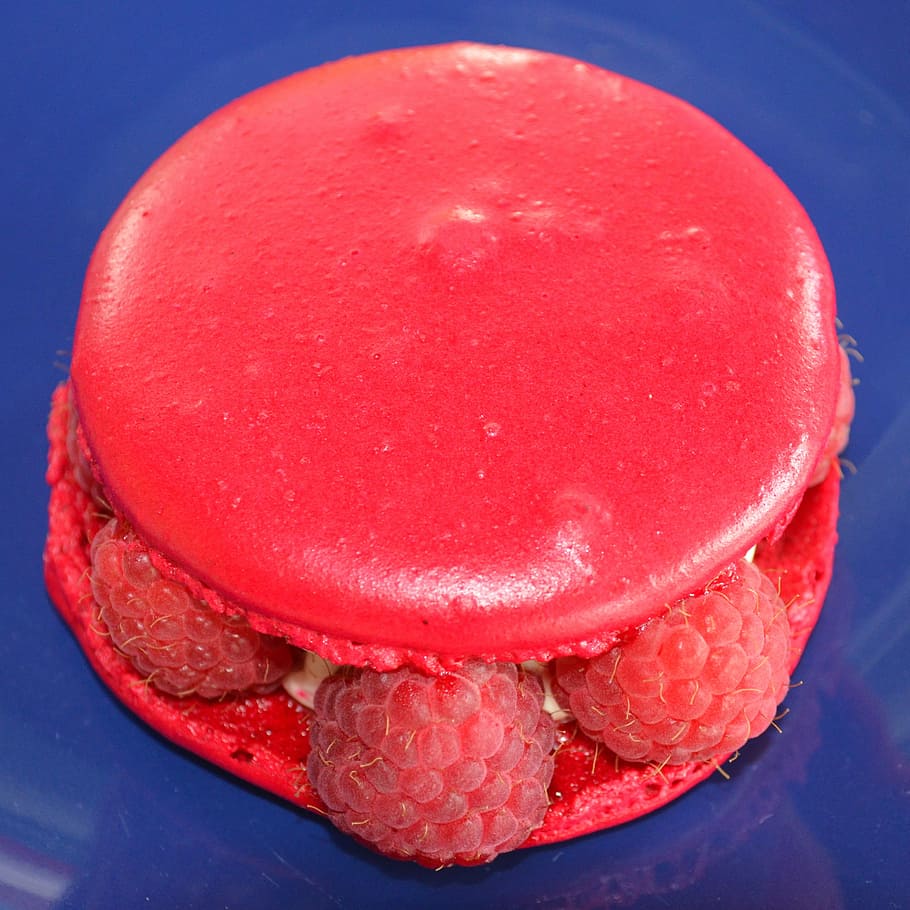 raspberry, tart, cake, sweet, dessert, blue, bakery, desserts HD wallpaper