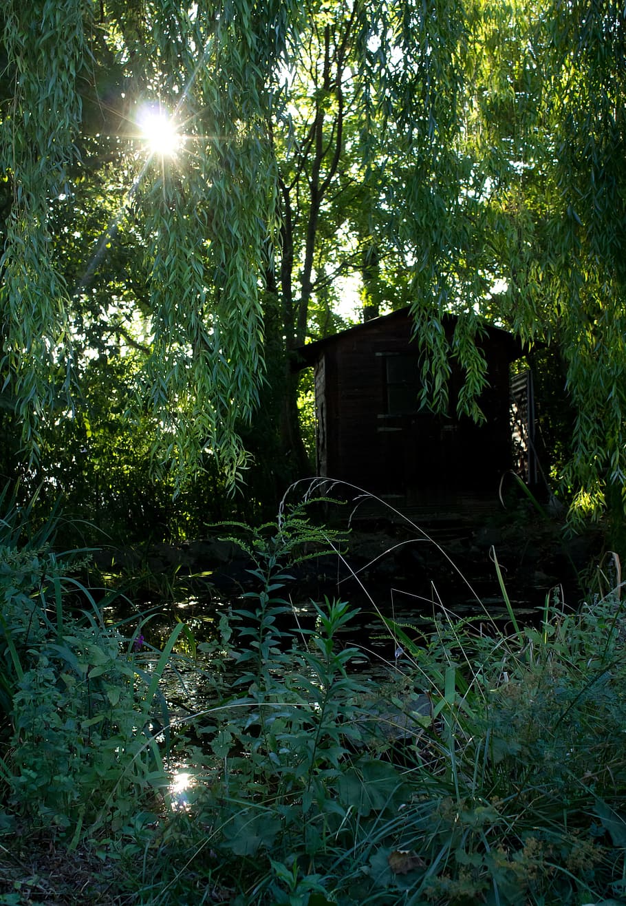 black wooden shed under green leafed tree, garden, hut, magic HD wallpaper