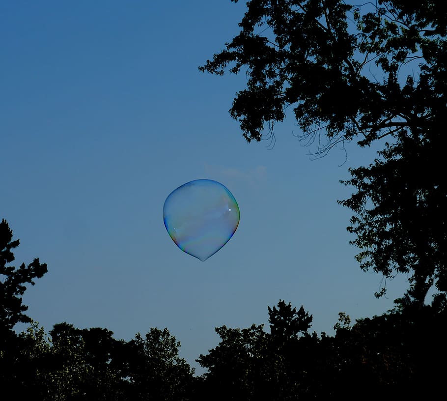 Soap Bubble, Tree, Flight, large, children, sky, blue, bubble wand HD wallpaper