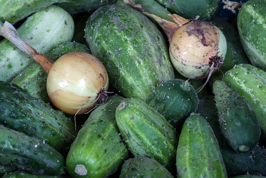 vegetables, cucumbers, onion, close, garden cucumber, food and drink HD wallpaper