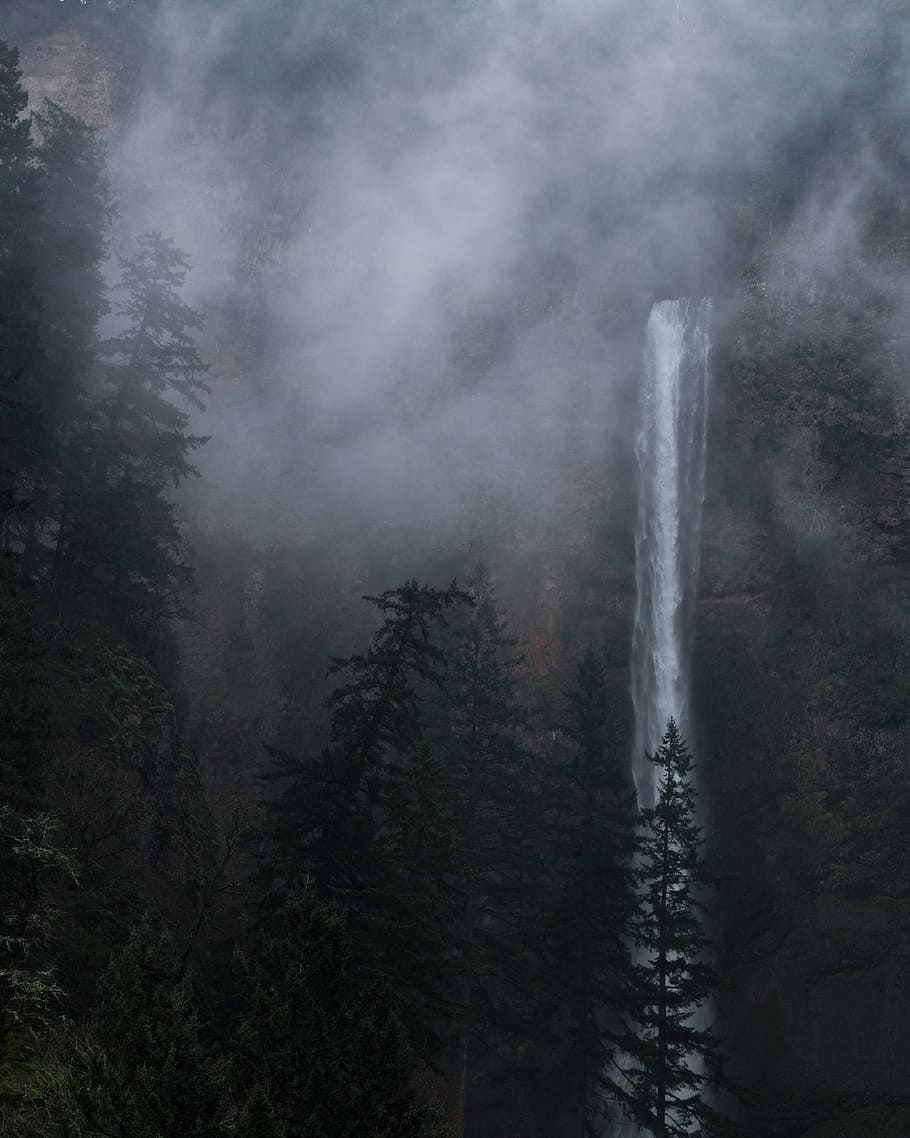 green leafed trees during cloudy sky, waterfalls surrounded by pine trees