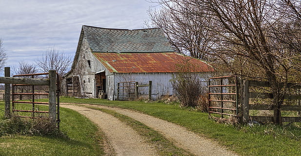 white and brown wooden house near tree, barn, rustic, barns HD wallpaper