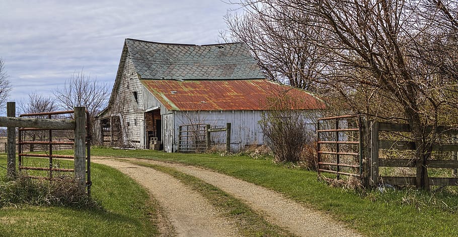 white and brown wooden house near tree, barn, rustic, barns HD wallpaper