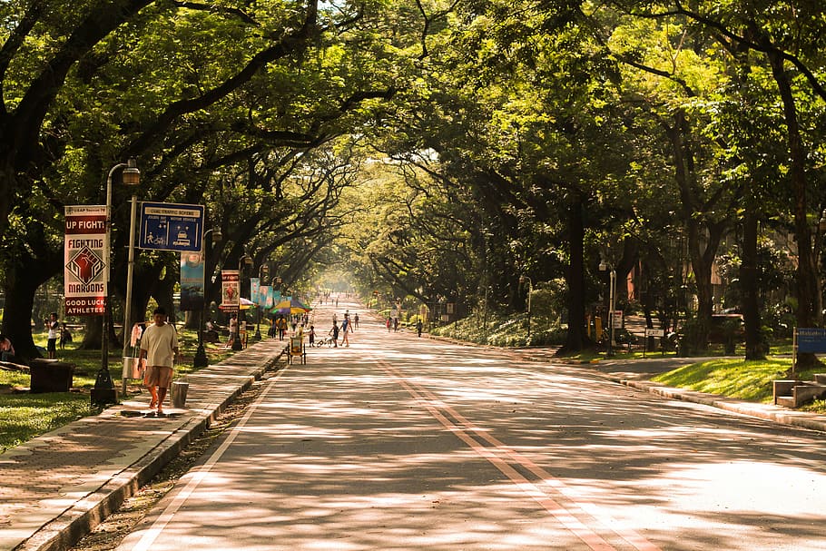 people walking on street during day, oval, nature, trees, manila HD wallpaper