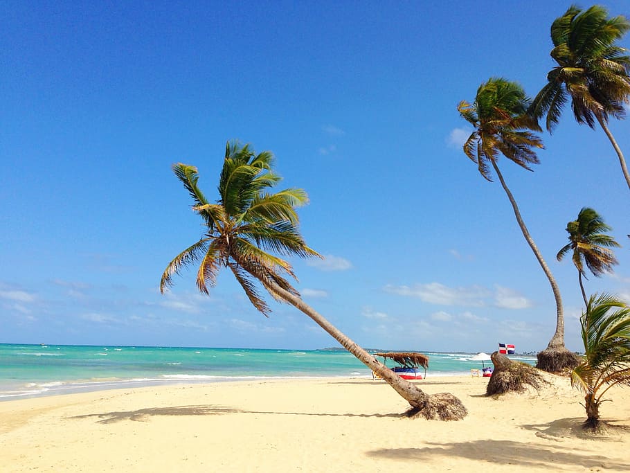 sand, beach, ocean, vacation, tropical, nature, summer, paradise HD wallpaper