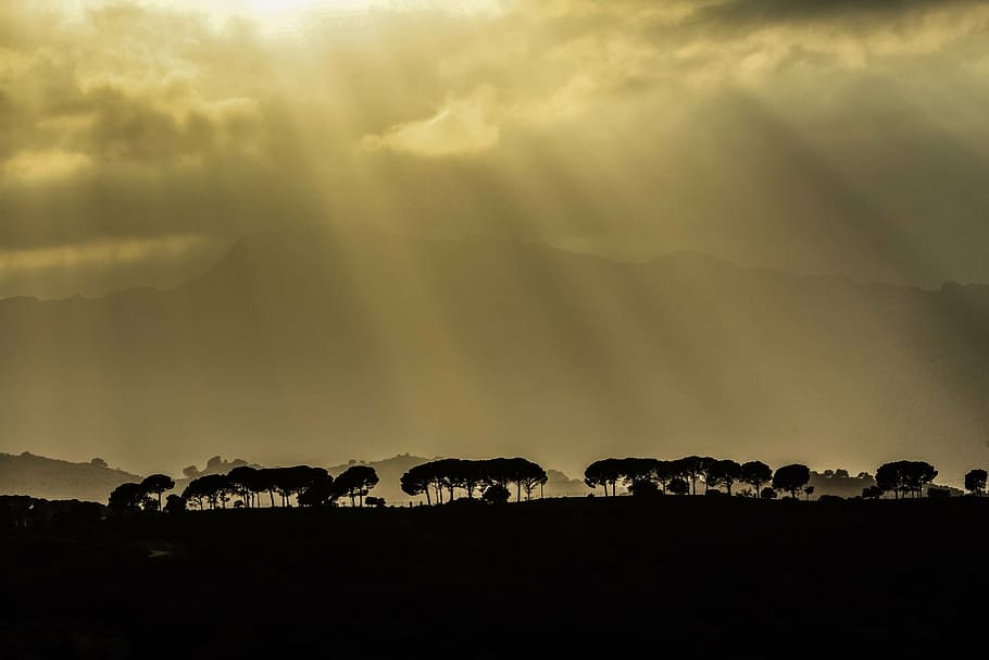 silhouette of trees, plant, view, nature, outdoor, mountain HD wallpaper