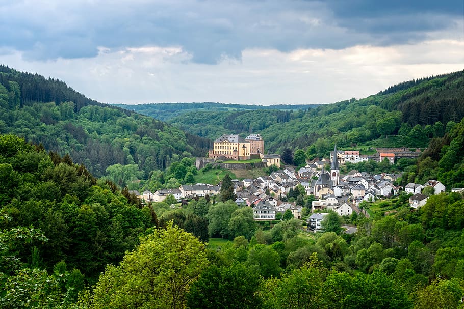 aerial photography of trees, castle, landscape, nature, architecture HD wallpaper