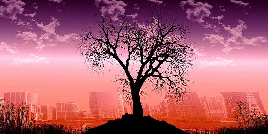 tree, nature, landscape, old tree, silhouette, clouds, grass HD wallpaper