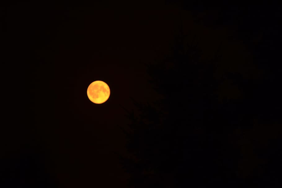 moon, astronomy, eclipse, dark, sky, space, night, full moon HD wallpaper
