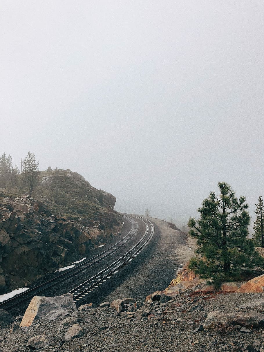 gray railroad near tree during daytime, train rails under foggy sky HD wallpaper