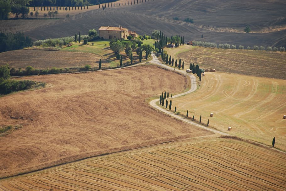 aerial view of fields, Val D'Orcia, Landscape, Cottage, Trail, HD wallpaper