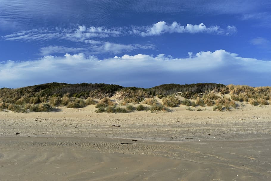landscape photography of mountain, australia, beach, beach grass HD wallpaper
