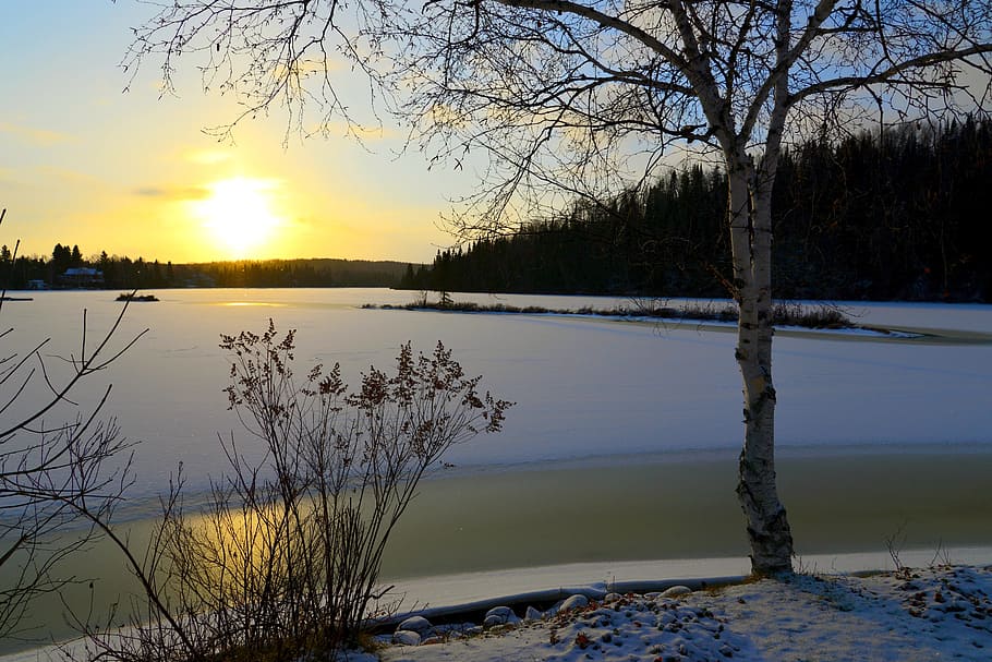 sunset, ice, tree, snow, water, sky, lake, scenics - nature HD wallpaper