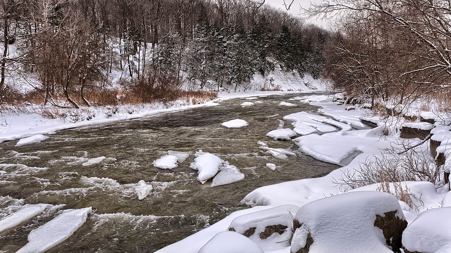 River Beside White Snow during Daytime, cold, forest, outdoors HD wallpaper