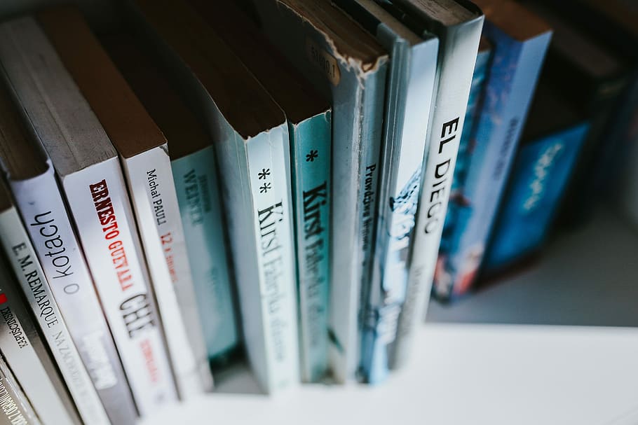 Books on a bookcase shelf, reading, literature, shelves, library HD wallpaper