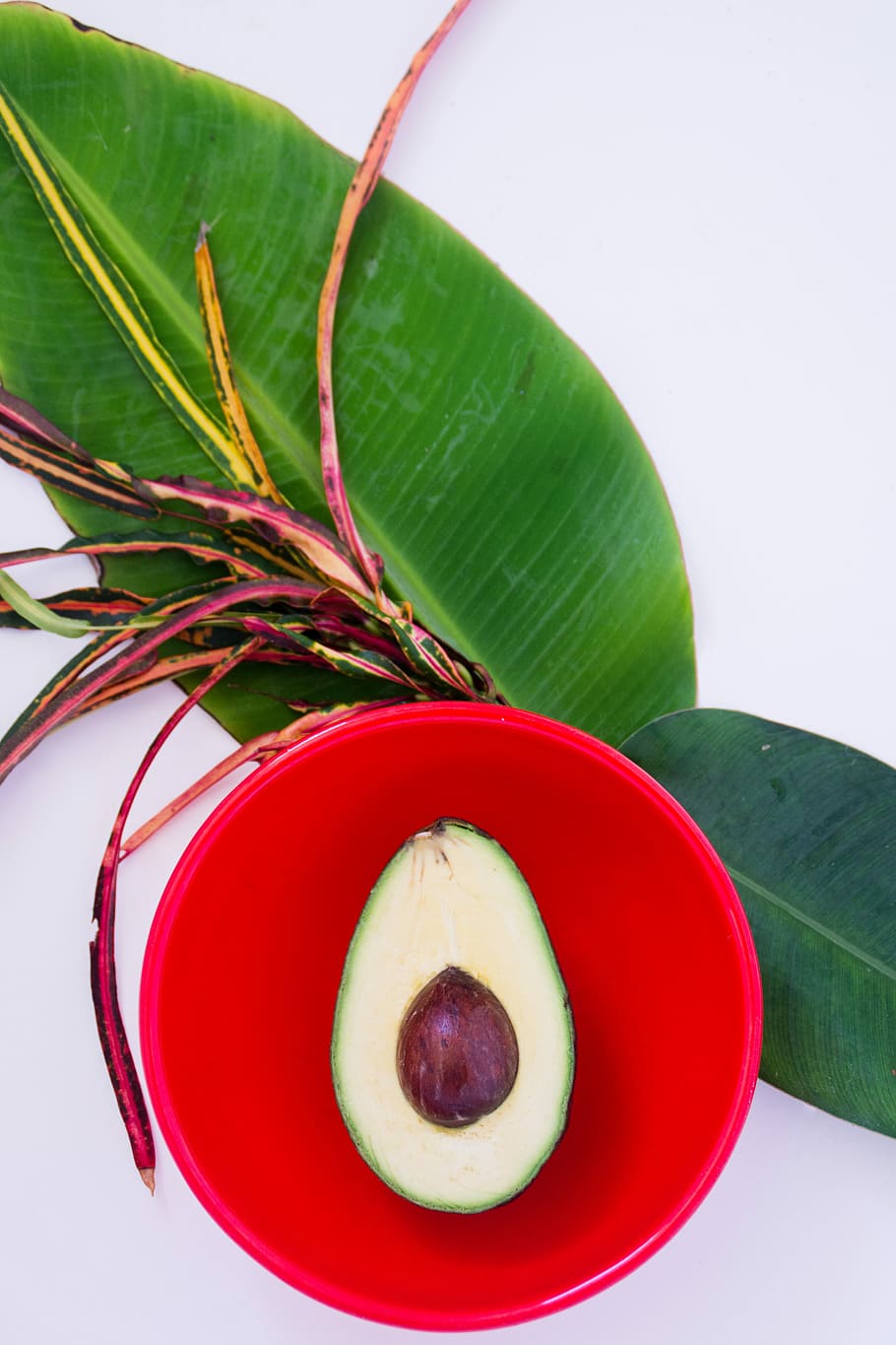 sliced avocado on red plastic bowl, avocado on red bowl, leaf HD wallpaper