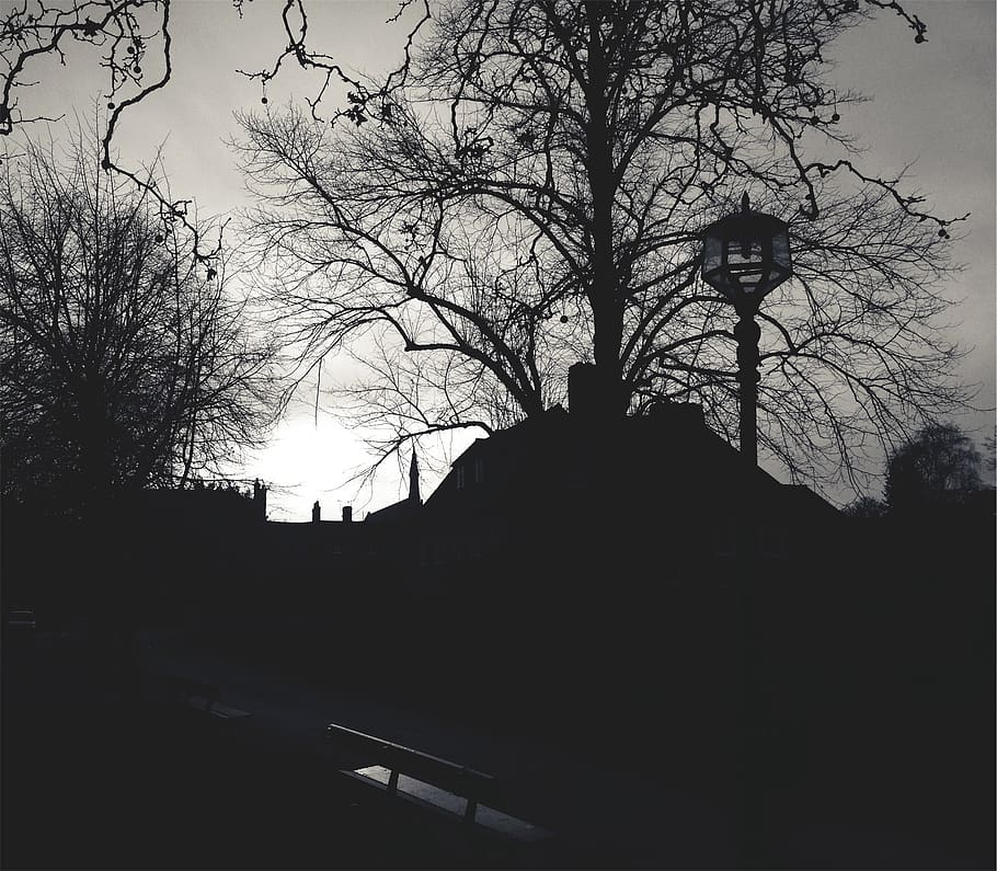 lamp post, benches, path, black and white, trees, silhouette HD wallpaper