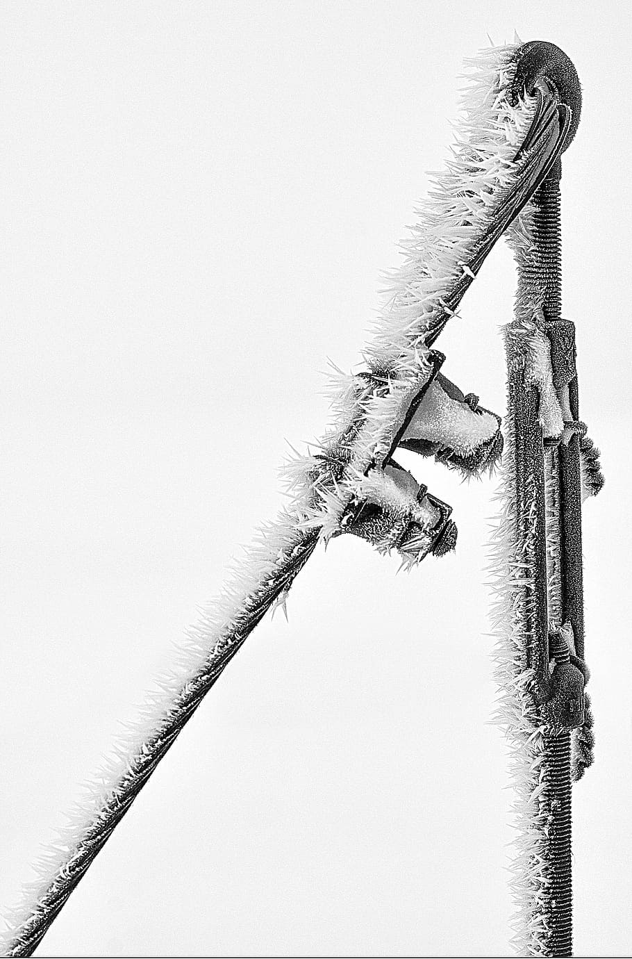 power poles, winter, cold, wintry, snow magic, frost, snowed in HD wallpaper