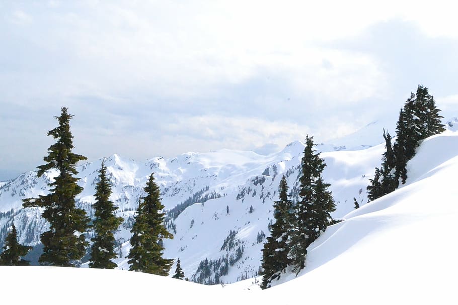 mt baker, backcountry, skiing, mountain, landscape, wilderness HD wallpaper