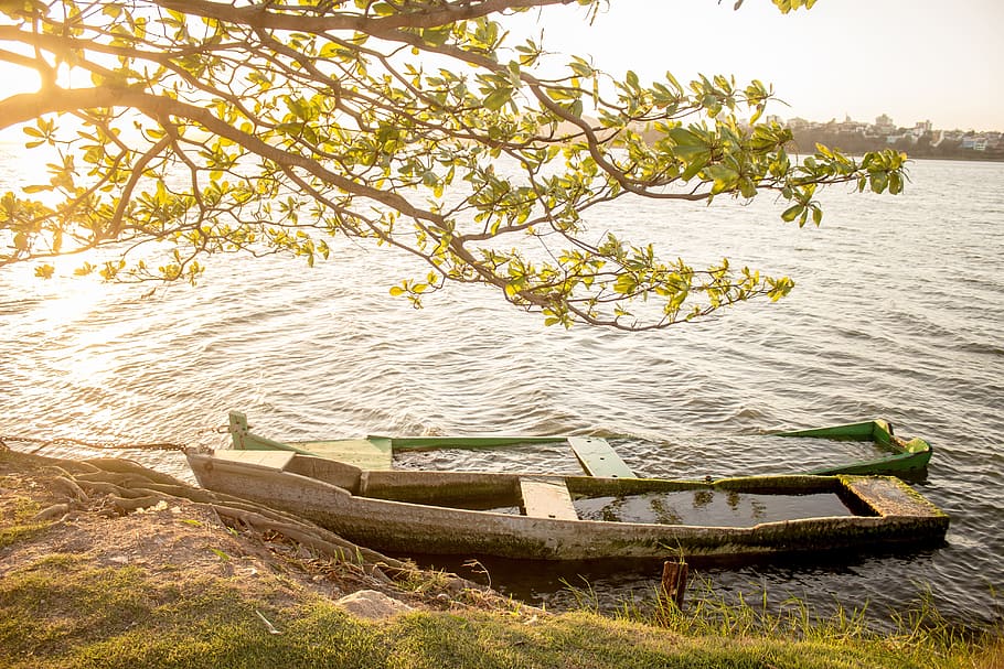two green and beige canoes in body of water during daytime HD wallpaper