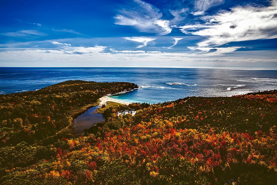 Autumn Landscape of the forest and the seashore at Bar Harbor, Maine HD wallpaper