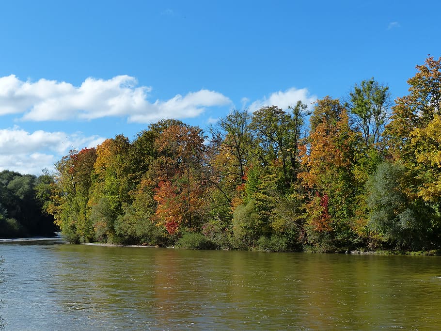 Autumn, Isar, Forest, River, Munich, water, barbecue, walk HD wallpaper