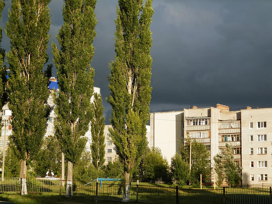 Clouds, City, Poplar, tree, no people, architecture, building exterior HD wallpaper