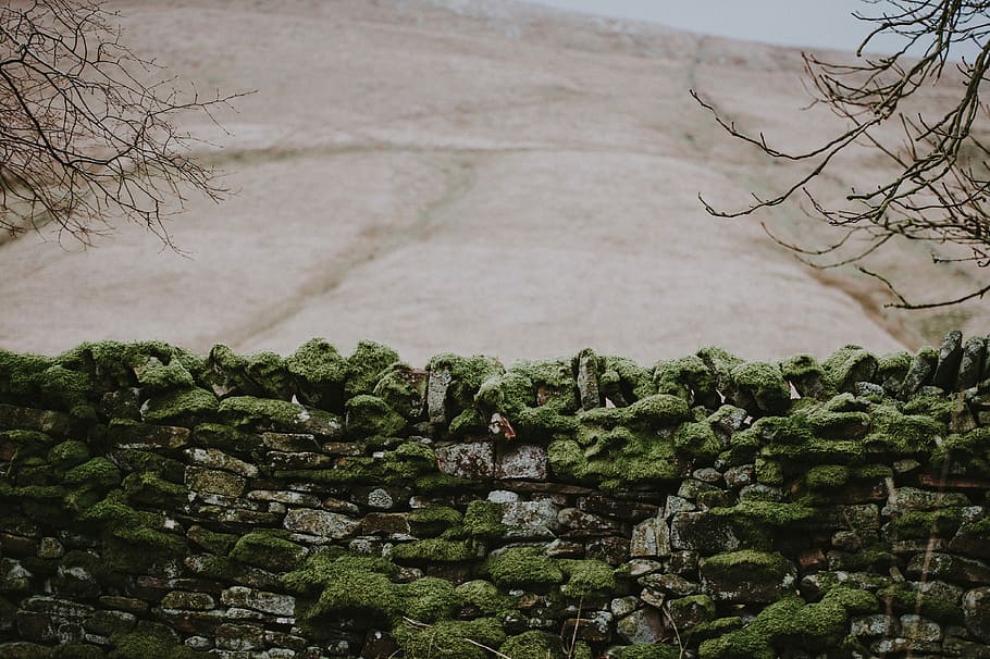 Dry stone wall with moss, green grass on gray rock, plant, architecture HD wallpaper